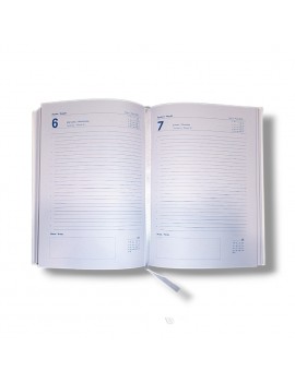 AGENDA 2025 INICIAL PERSONALIZADA product_id