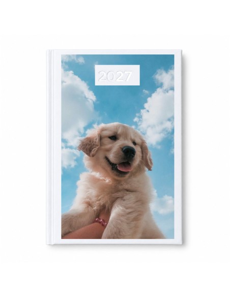 AGENDA 2027 PERSONALIZADA product_id