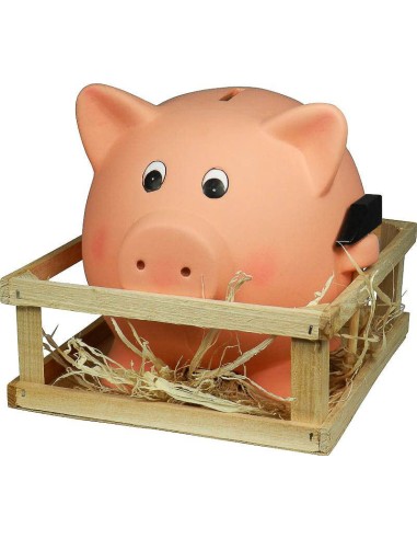 HUCHA CERDITO XXL product_id